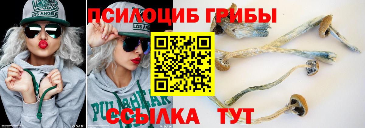 где продают наркотики  Вход с VPN  Ачинск  Псилоцибиновые грибы прущие грибы  Галлюциногенные грибы мицелий 